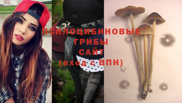 дурь Михайловск