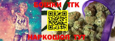 тгк Гусев