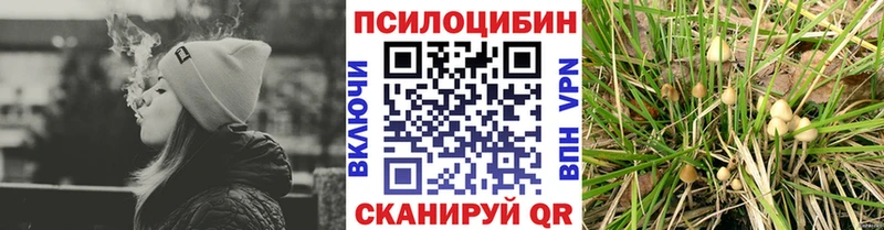 где купить Саратов Псилоцибиновые грибы MAGIC MUSHROOMS