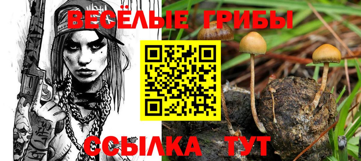 Псилоцибиновые грибы мухоморы  Вход с VPN  Саратов 