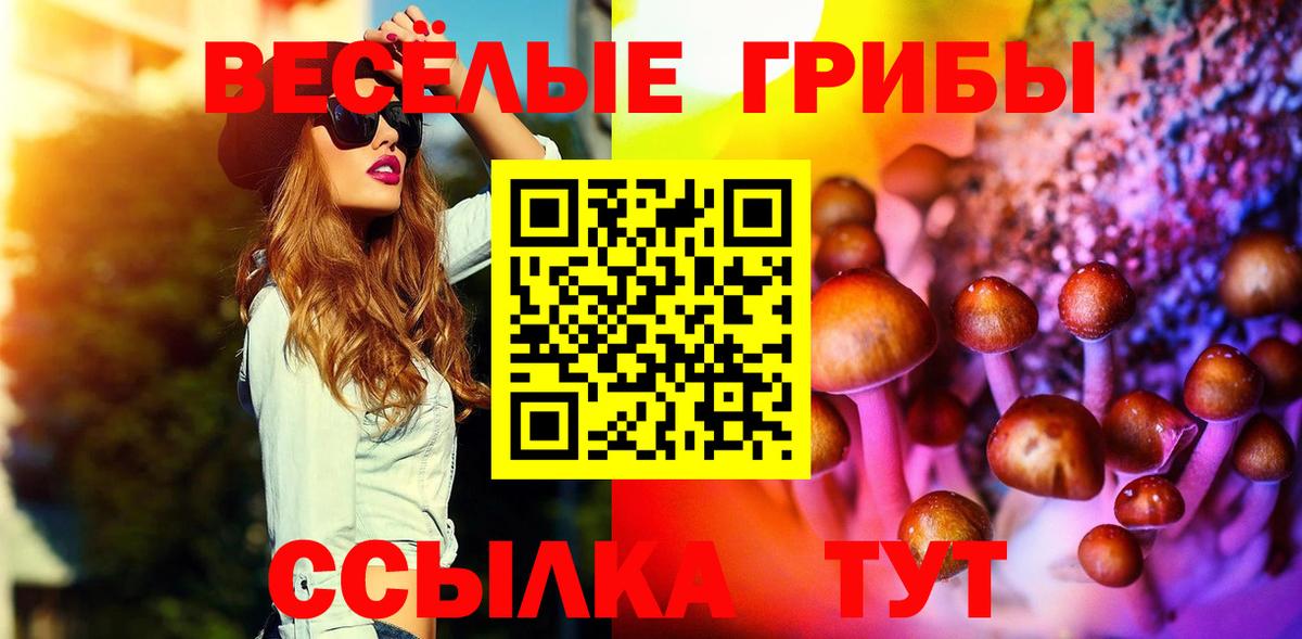 Галлюциногенные грибы Psilocybine cubensis Саратов